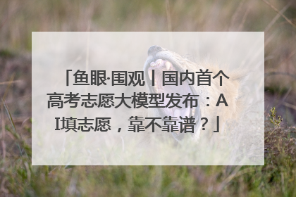 鱼眼·围观丨国内首个高考志愿大模型发布：AI填志愿，靠不靠谱？