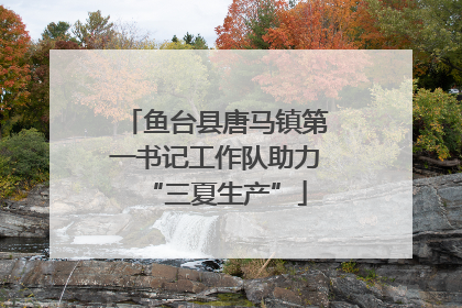 鱼台县唐马镇第一书记工作队助力“三夏生产”