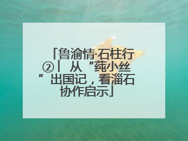 鲁渝情·石柱行② ︳从“莼小丝”出国记，看淄石协作启示