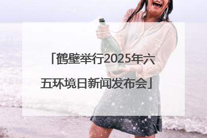 鹤壁举行2025年六五环境日新闻发布会
