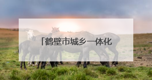 鹤壁市城乡一体化示范区：一粽一童心 双节共缤纷