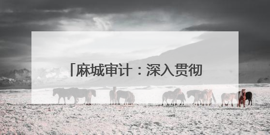 麻城审计：深入贯彻中央八项规定精神 筑牢审计质量生命线