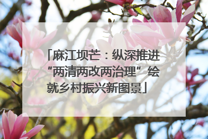 麻江坝芒：纵深推进“两清两改两治理”绘就乡村振兴新图景
