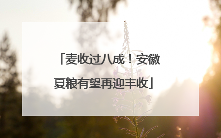 麦收过八成！安徽夏粮有望再迎丰收