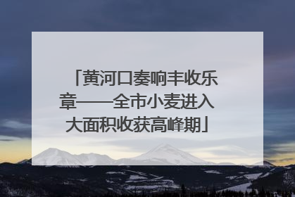 黄河口奏响丰收乐章——全市小麦进入大面积收获高峰期