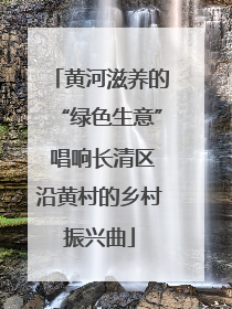 黄河滋养的“绿色生意” 唱响长清区沿黄村的乡村振兴曲