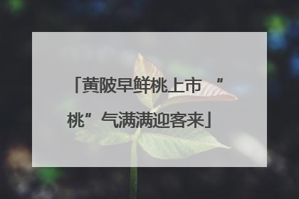 黄陂早鲜桃上市 “桃”气满满迎客来