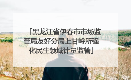 黑龙江省伊春市市场监管局友好分局上甘岭所强化民生领域计量监管