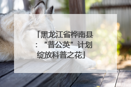 黑龙江省桦南县：“普公英”计划绽放科普之花