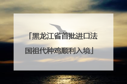 黑龙江省首批进口法国祖代种鸡顺利入境