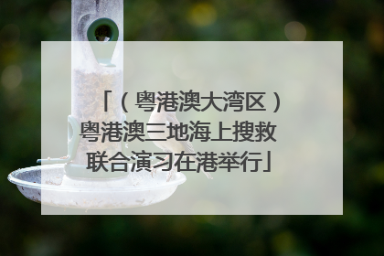 （粤港澳大湾区）粤港澳三地海上搜救联合演习在港举行