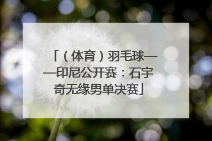 （体育）羽毛球——印尼公开赛：石宇奇无缘男单决赛
