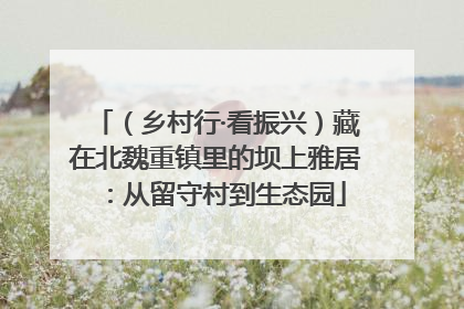 （乡村行·看振兴）藏在北魏重镇里的坝上雅居：从留守村到生态园