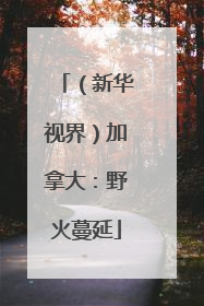 （新华视界）加拿大：野火蔓延
