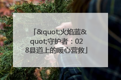 "火焰蓝"守护者：028县道上的暖心营救