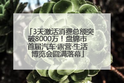 3天激活消费总额突破8000万！盘锦市首届汽车·露营·生活博览会圆满落幕