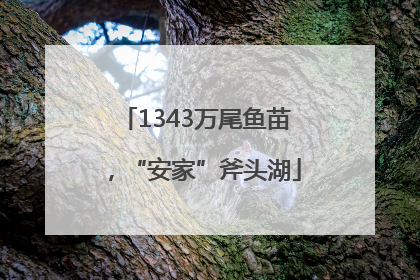 1343万尾鱼苗，“安家”斧头湖