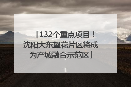 132个重点项目！沈阳大东望花片区将成为产城融合示范区