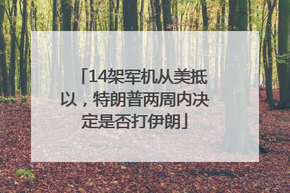 14架军机从美抵以，特朗普两周内决定是否打伊朗