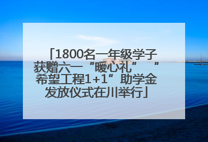 1800名一年级学子获赠六一“暖心礼” “希望工程1+1”助学金发放仪式在川举行