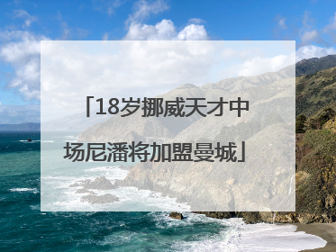 18岁挪威天才中场尼潘将加盟曼城