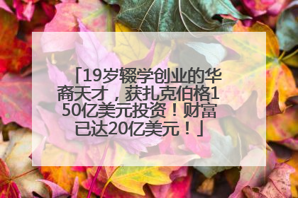 19岁辍学创业的华裔天才，获扎克伯格150亿美元投资！财富已达20亿美元！