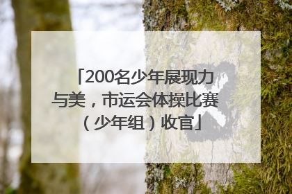 200名少年展现力与美，市运会体操比赛（少年组）收官