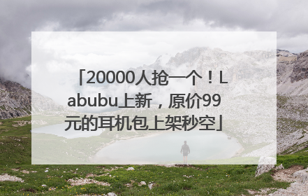 20000人抢一个！Labubu上新，原价99元的耳机包上架秒空