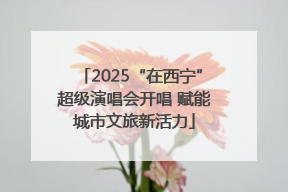2025“在西宁”超级演唱会开唱 赋能城市文旅新活力
