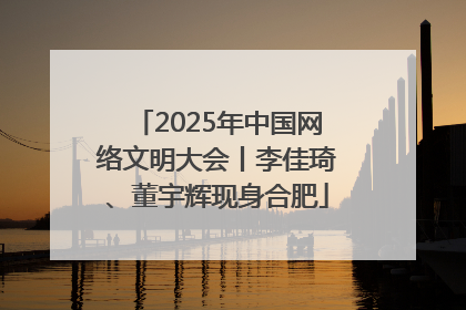 2025年中国网络文明大会丨李佳琦、董宇辉现身合肥