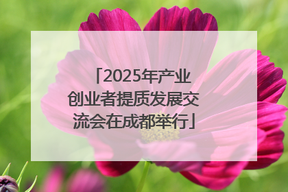 2025年产业创业者提质发展交流会在成都举行