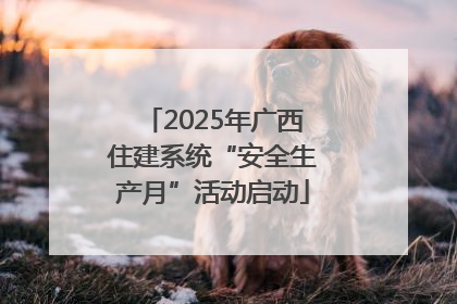 2025年广西住建系统“安全生产月”活动启动