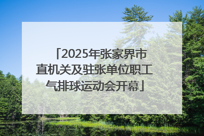 2025年张家界市直机关及驻张单位职工气排球运动会开幕