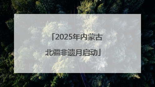 2025年内蒙古北疆非遗月启动