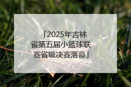 2025年吉林省第五届小篮球联赛省级决赛落幕