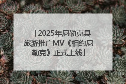 2025年尼勒克县旅游推广MV《相约尼勒克》正式上线