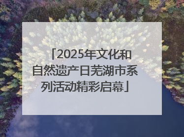 2025年文化和自然遗产日芜湖市系列活动精彩启幕