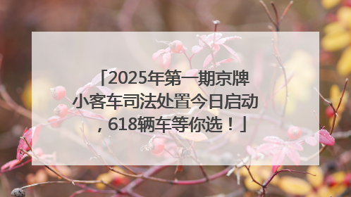 2025年第一期京牌小客车司法处置今日启动，618辆车等你选！