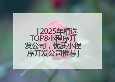 2025年精选TOP8小程序开发公司，优质小程序开发公司推荐
