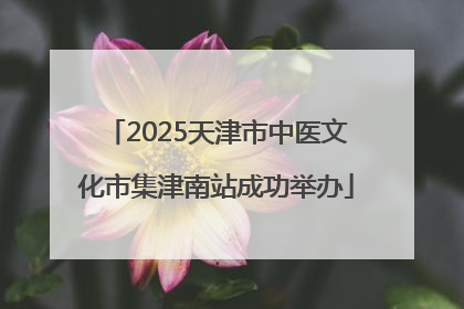 2025天津市中医文化市集津南站成功举办