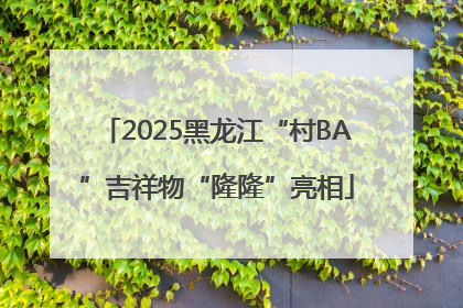 2025黑龙江“村BA”吉祥物“隆隆”亮相