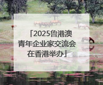 2025鲁港澳青年企业家交流会在香港举办