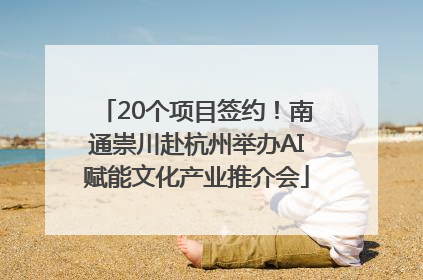 20个项目签约！南通崇川赴杭州举办AI赋能文化产业推介会