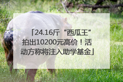 24.16斤“西瓜王”拍出10200元高价！活动方称将注入助学基金