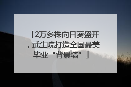 2万多株向日葵盛开，武生院打造全国最美毕业“背景墙”