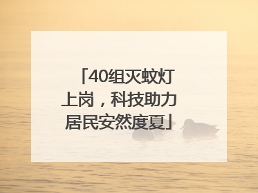 40组灭蚊灯上岗，科技助力居民安然度夏