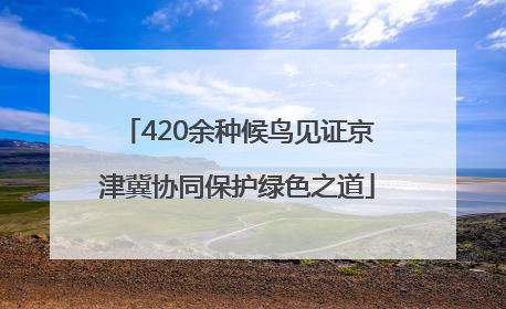 420余种候鸟见证京津冀协同保护绿色之道