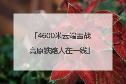 4600米云端雪战 高原铁路人在一线