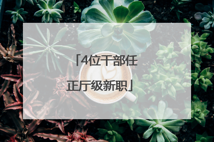 4位干部任正厅级新职