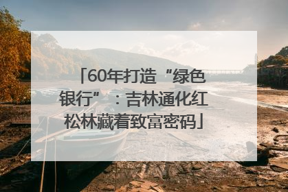60年打造“绿色银行”：吉林通化红松林藏着致富密码